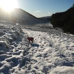 Iain Smith - @smiffy112 - Instagram
