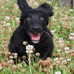 Iain Smith - @iain.smith.39 - Instagram
