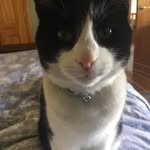 Iain Sutherland - @iain1466 - Instagram