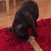 Iain Abernethy - Facebook