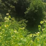 Ian Admirer - @ianadmirer - Instagram