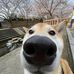 Ian Aiken - Facebook