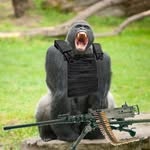 Ian Alt - @mrteabagsyourtea - Instagram