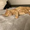 Ian_alt - @ian_backup_227 - TikTok