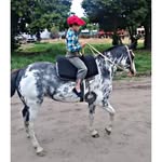 Ian_altear07 - @ian_altear07 - Instagram