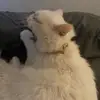 Ianalt - @ian.alt27 - TikTok