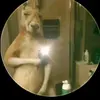 Ian Andrade - @ian.andrade963 - TikTok