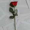 Ian Andrade - @i.a.n.andrade - TikTok