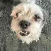 Ian Apodaca - @apodaca493 - TikTok