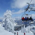 Brian Archbold - @briantarchbold - Instagram