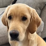 Ian Archbold - @ianarchbold - Instagram