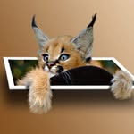 Яна Ргозина - @ianargozina4537 - Instagram