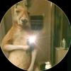 Ian Arias - @ian.arias95 - TikTok