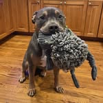 Ian Asher - @asherspetsit - Instagram