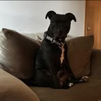 Ian Asher - Facebook