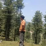 انس - @i_anasmanzoor - Instagram