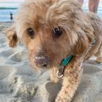 Ian - @ian_auger - Instagram