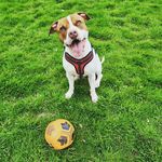 Martin Ian Syme Auld - @martin_syme - Instagram
