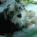 Ian Bader - Facebook