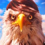 Ian Bader - @badersauce - Instagram