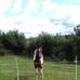 Ian Balfour - Facebook