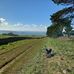Ian Bamforth - Facebook