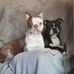 Ian Bannerman - Facebook