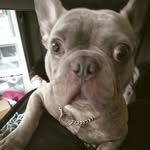 ian banta - @banta.ian - Instagram