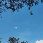 Ian Bantang Piano - @ian_bantang_piano - Instagram