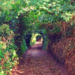 Ian Barratt - @ijbarratt59 - Instagram