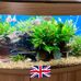 Ian Bartram - Facebook