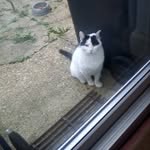 @ian_batty3 - Instagram