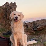 Baum_korb987 - @korbinianbaumann - Instagram