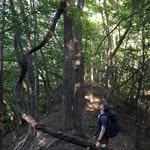 Ian - @ian_bayne - Instagram