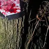 beamian - @beamian - TikTok