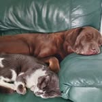 Ian Michael Beames - @ianbeames - Instagram