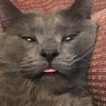 Ian Beavers - @saltybeaver614 - Instagram