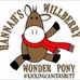 Iain Beavis - Facebook