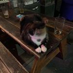 Ian Bellamy - @swoop.stake - Instagram
