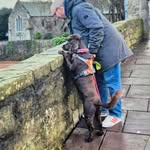 Ian Blackwell - @ianblack68 - Instagram