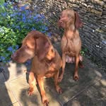 Ian Blackwell - @ianblackwell344 - Instagram