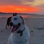 Ian C. Blackwell - @ianblackwell2 - Instagram