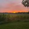 ianbliss - @ianbliss14 - TikTok