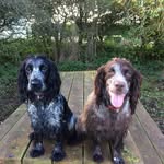 Ian Blount - @ianblount66 - Instagram