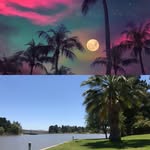 Ian Blumenfeld - @ianblumenfeld - Instagram
