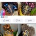 Ian Bone - Facebook