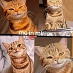 Ian Braden Mingutio - @ianbradenmingutio - Instagram