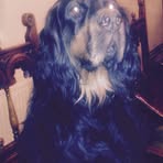 Ian Brash - Facebook