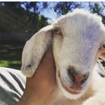 Kim kabrashian - @kimkabrashian - Instagram