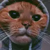 Ian - @ian.braun1 - TikTok